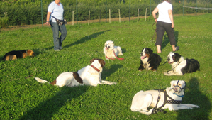 Bleiben mit Ablenkung